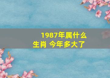 1987年属什么生肖 今年多大了